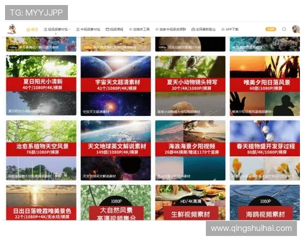 星空官方网站入口功能全解析与常见问题