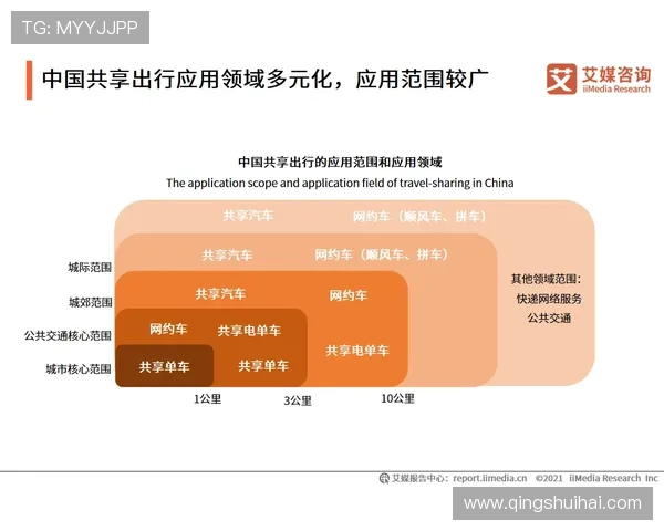 星空电子入口的多元化应用及其未来发展趋势
