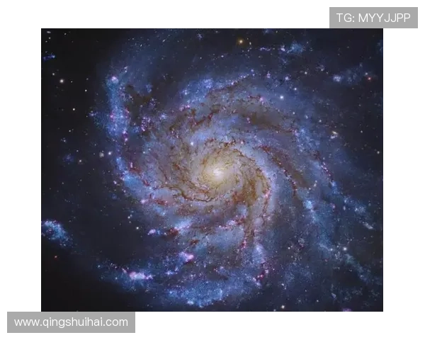 星空娱乐网天文直播：实时观察星空变化与宇宙重大事件专业解读