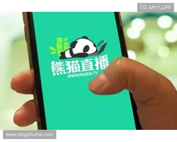 熊猫直播平台:大型直播事件背后的运营策略揭秘 熊猫直播平台:大型直播事件背后的运营策略揭秘