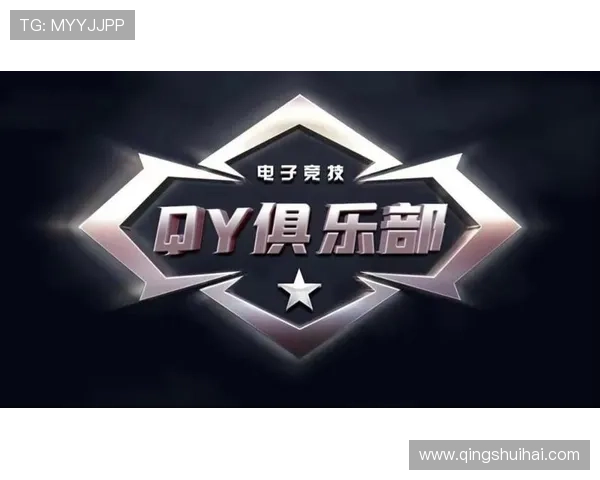 详细了解MK体育在线官网入口官方网址，安全登录流程全攻略指南