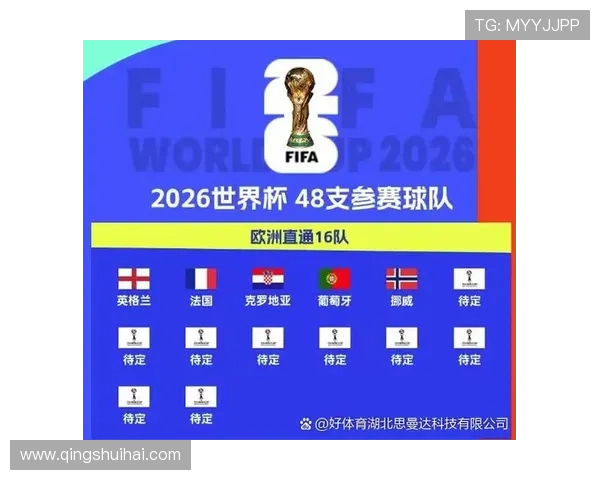 2026年世界杯G组积分榜实时更新：晋级形势与关键比赛回顾