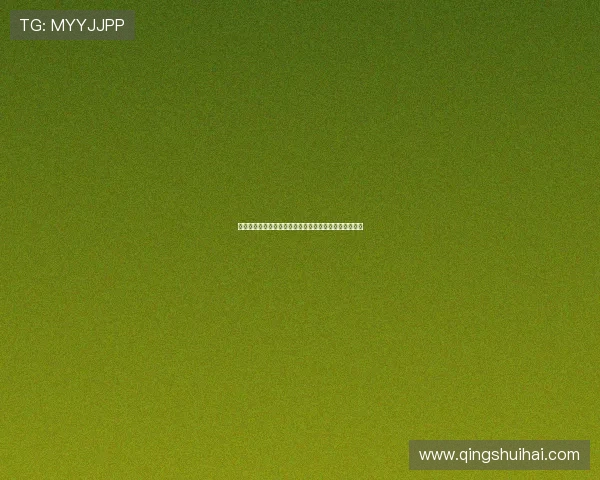 佛得角对沙特世界杯比赛出场名单全名单及球员状态介绍